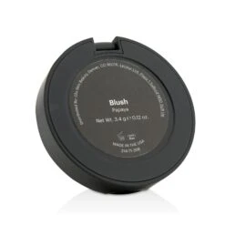 Glo Skin Beauty Blush - # Spice Berry 3.4g/0.12oz -Fresh Beauty Store 21448468602 2 5f182ce6 490c 4071 a823 25edcdc81565