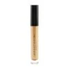 Anastasia Beverly Hills Lip Gloss - # Gilded 4.5g/0.16oz